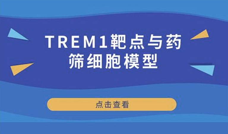 先驅(qū)還是先烈-TREM1靶點(diǎn)與藥篩細(xì)胞模型 先驅(qū)還是先烈-TREM1靶點(diǎn)與藥篩細(xì)胞模型