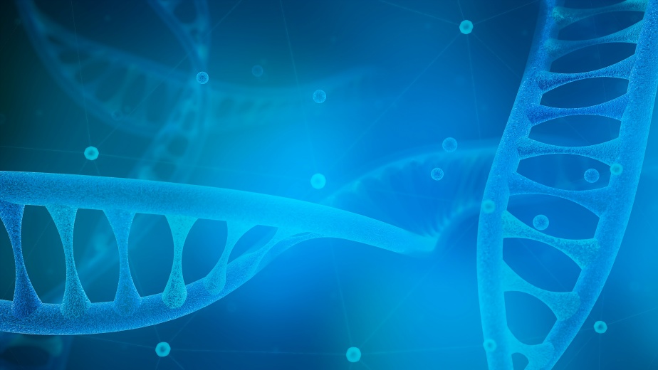 Kinase靶點(diǎn)模型構(gòu)建